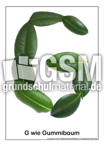 G-wie-Gummibaum.pdf